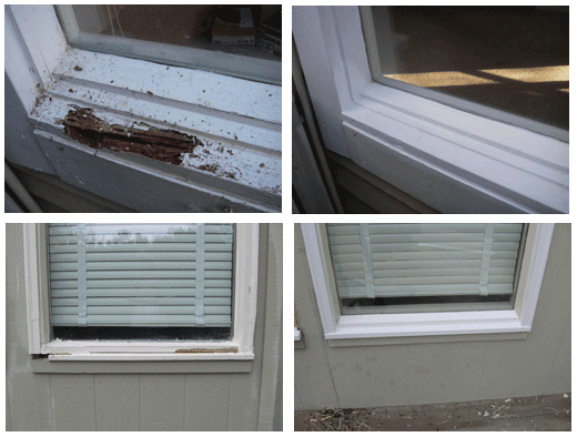 Wood rot repair on window